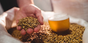 Moving from Extract to All Grain Brewing: What You Need To Know.