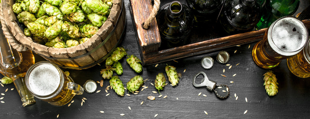 The Lowdown on Hops