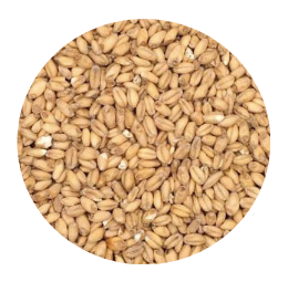 Wheat Malt - Canada Malting Co. (per lb)