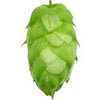 Thumbnail image of: Hops - Amarillo Leaf