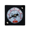 Thumbnail image of: Mini Pressure Gauge  (0-30 psi)