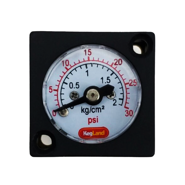 Mini Pressure Gauge  (0-30 psi)