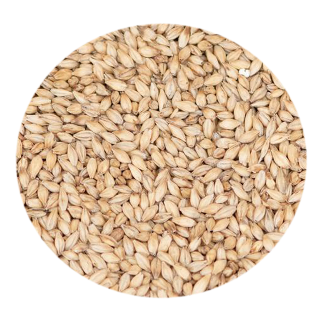 Premium 6-Row Malt - Canada Malting Co. (per lb) – BrewHQ