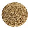 Thumbnail image of: Raw Wheat Malt - Great Western (per lb)